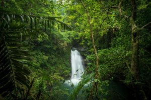 waterfalls in Costa Rica